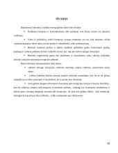 Korupcija muitinėje 16 puslapis