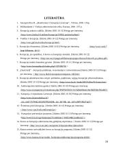 Korupcija muitinėje 17 puslapis