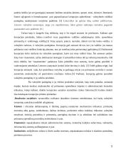 Korupcija muitinėje 3 puslapis