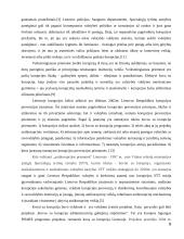 Korupcija muitinėje 6 puslapis