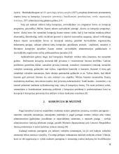 Korupcija muitinėje 7 puslapis