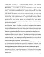 Korupcija muitinėje 9 puslapis