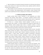 Korupcija muitinėje 10 puslapis