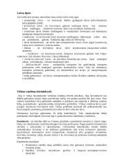 Krovinių vežimas 7 puslapis