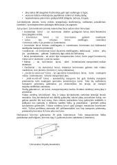 Krovinių vežimas 10 puslapis