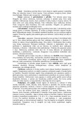 Lietuvoje gyvenantys vorai 2 puslapis