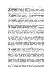 Lietuvoje gyvenantys vorai 7 puslapis