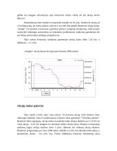 Lietuvos akcijų rinka 20 puslapis
