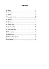 Lietuvos žinduoliai 2 puslapis