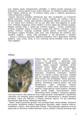 Lietuvos žinduoliai 4 puslapis