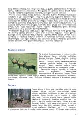 Lietuvos žinduoliai 5 puslapis