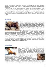 Lietuvos žinduoliai 6 puslapis