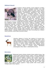 Lietuvos žinduoliai 8 puslapis