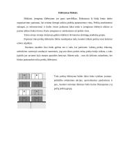 Logistikos valdymas 11 puslapis