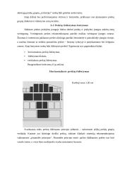 Logistikos valdymas 10 puslapis