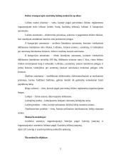 Loterijų ir azartinių lošimų mokesčio svarba 5 puslapis