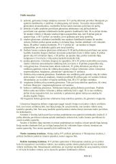 Masažo rūšys 3 puslapis