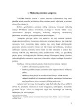 Lietuvos Respublikos mokesčiai bei mokesčių sistema 3 puslapis