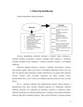 Lietuvos Respublikos mokesčiai bei mokesčių sistema 4 puslapis