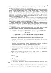 Naftos eksportas: BĮ "Minijos nafta" 12 puslapis