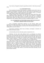 Naftos eksportas: BĮ "Minijos nafta" 13 puslapis