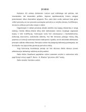 Pagrindinės vadovo asmeninės savybės 2 puslapis