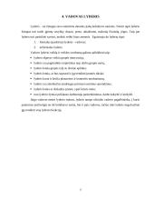 Pagrindinės vadovo asmeninės savybės 11 puslapis