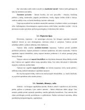 Pagrindinės vadovo asmeninės savybės 6 puslapis