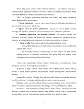 Pagrindinės vadovo asmeninės savybės 7 puslapis