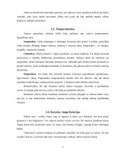 Pagrindinės vadovo asmeninės savybės 8 puslapis