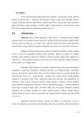 Pasaulio religijos bei jų aprašymai 15 puslapis