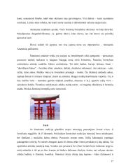 Pasaulio religijos bei jų aprašymai 16 puslapis