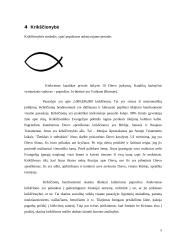 Pasaulio religijos bei jų aprašymai 4 puslapis