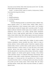 Personalo motyvavimas 13 puslapis