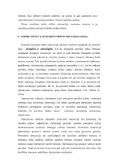 Personalo motyvavimas 16 puslapis