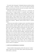 Personalo motyvavimas 17 puslapis