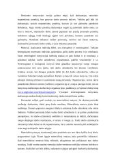Personalo motyvavimas 18 puslapis