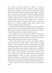 Personalo motyvavimas 19 puslapis