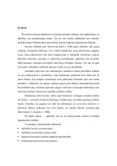 Personalo motyvavimas 3 puslapis