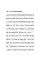 Personalo motyvavimas 4 puslapis