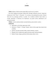 Prekės ženklai: "Čili" ir "Boogie Woogie" 2 puslapis