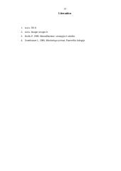 Prekės ženklai: "Čili" ir "Boogie Woogie" 13 puslapis