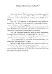 Prekės ženklai: "Čili" ir "Boogie Woogie" 3 puslapis