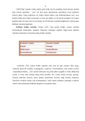 Prekės ženklai: "Čili" ir "Boogie Woogie" 6 puslapis