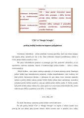 Prekės ženklai: "Čili" ir "Boogie Woogie" 9 puslapis