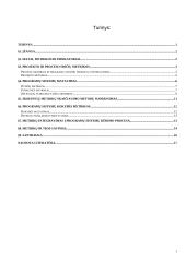 Programų sistemų kūrimo ir projektavimo metrikos 2 puslapis