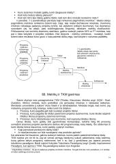 Programų sistemų kūrimo ir projektavimo metrikos 15 puslapis