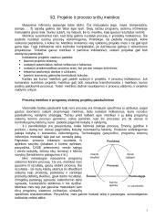 Programų sistemų kūrimo ir projektavimo metrikos 4 puslapis