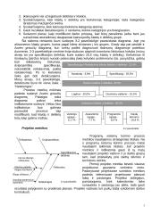 Programų sistemų kūrimo ir projektavimo metrikos 6 puslapis