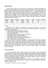 Programų sistemų kūrimo ir projektavimo metrikos 8 puslapis